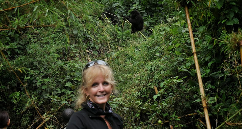 gorilla permit uganda