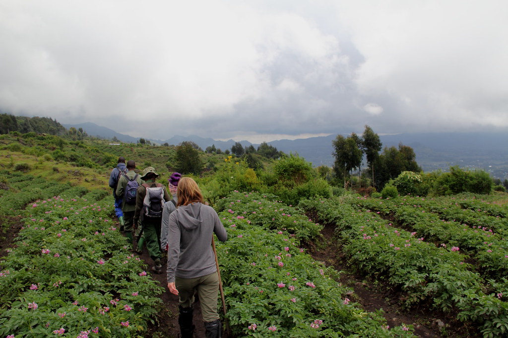 nature walks in Rwanda