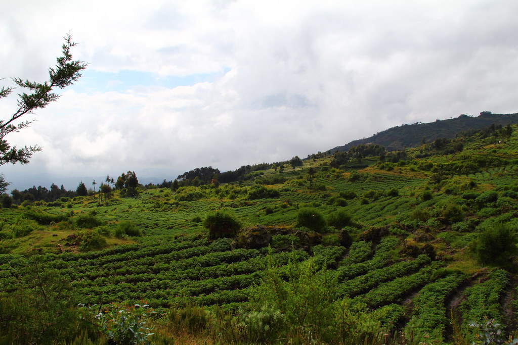 rwanda sightseeing tours