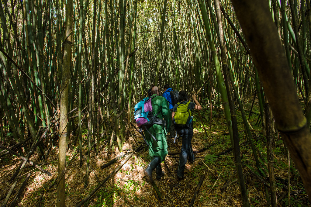 rwanda trekking