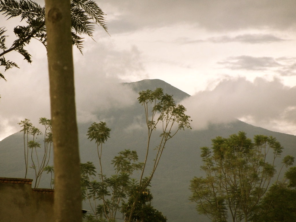 virunga mountains