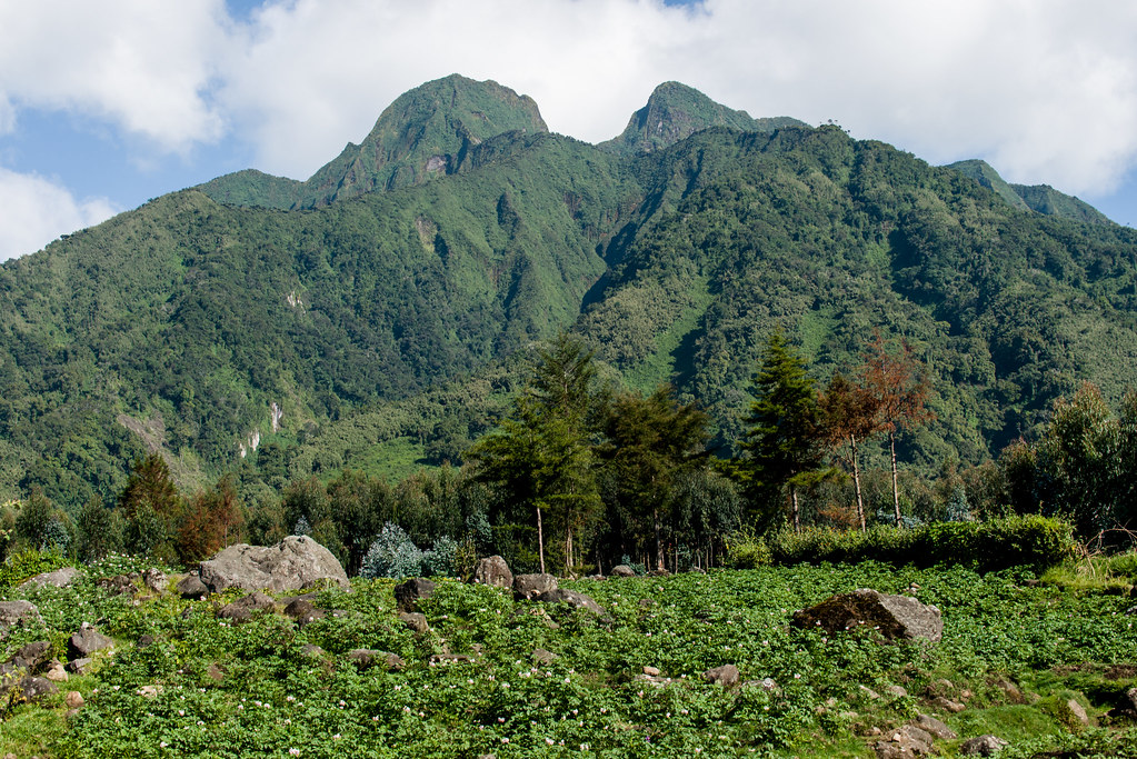 volcanoes national park rwanda